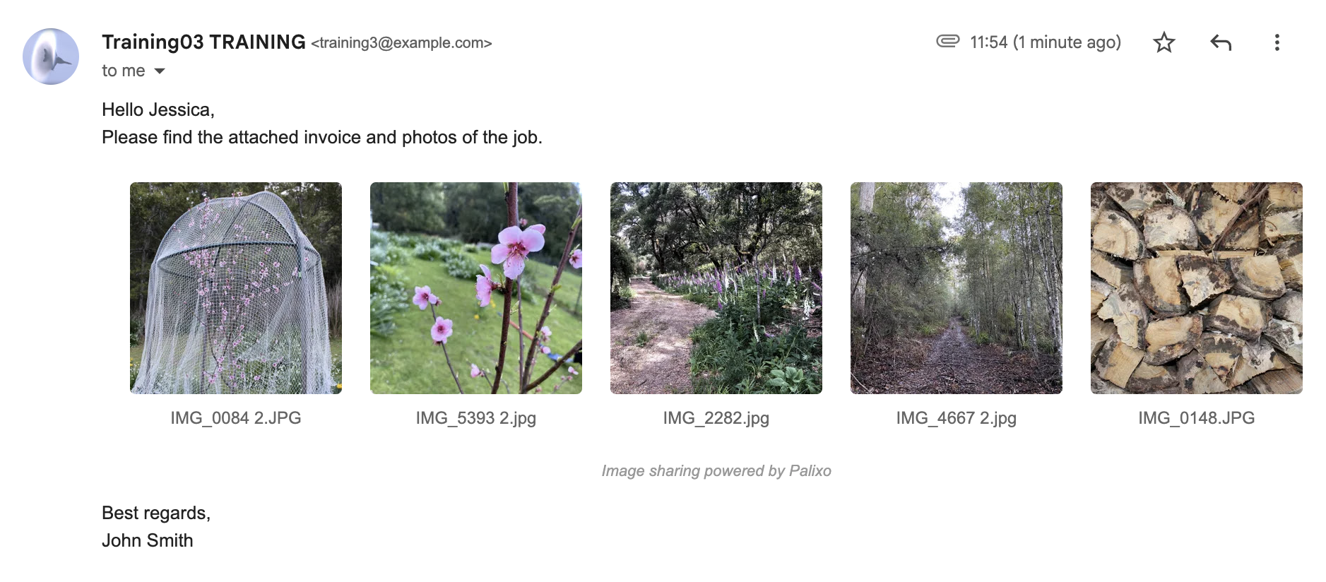 Sample email showing professional photo strip layout