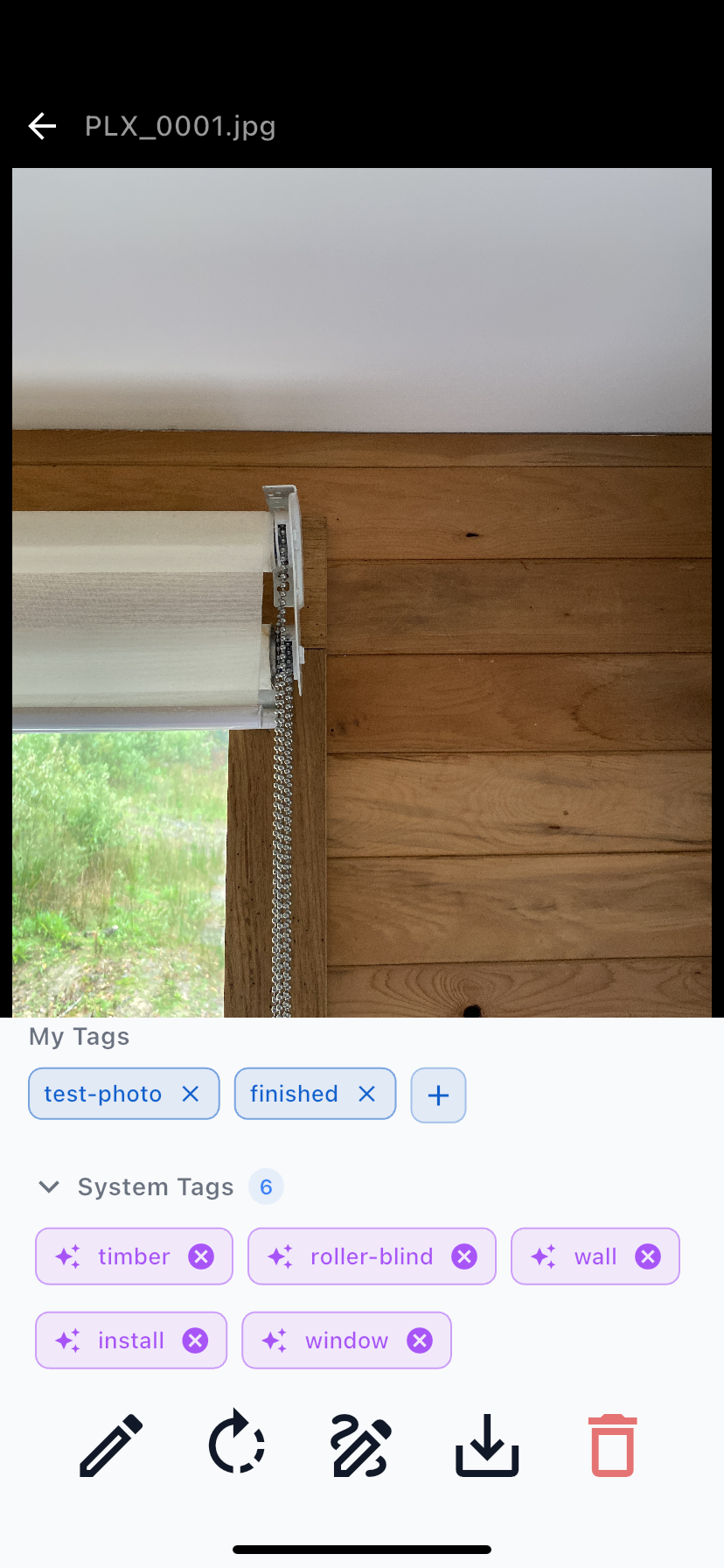 The viewer's My Tags and System Tags sections