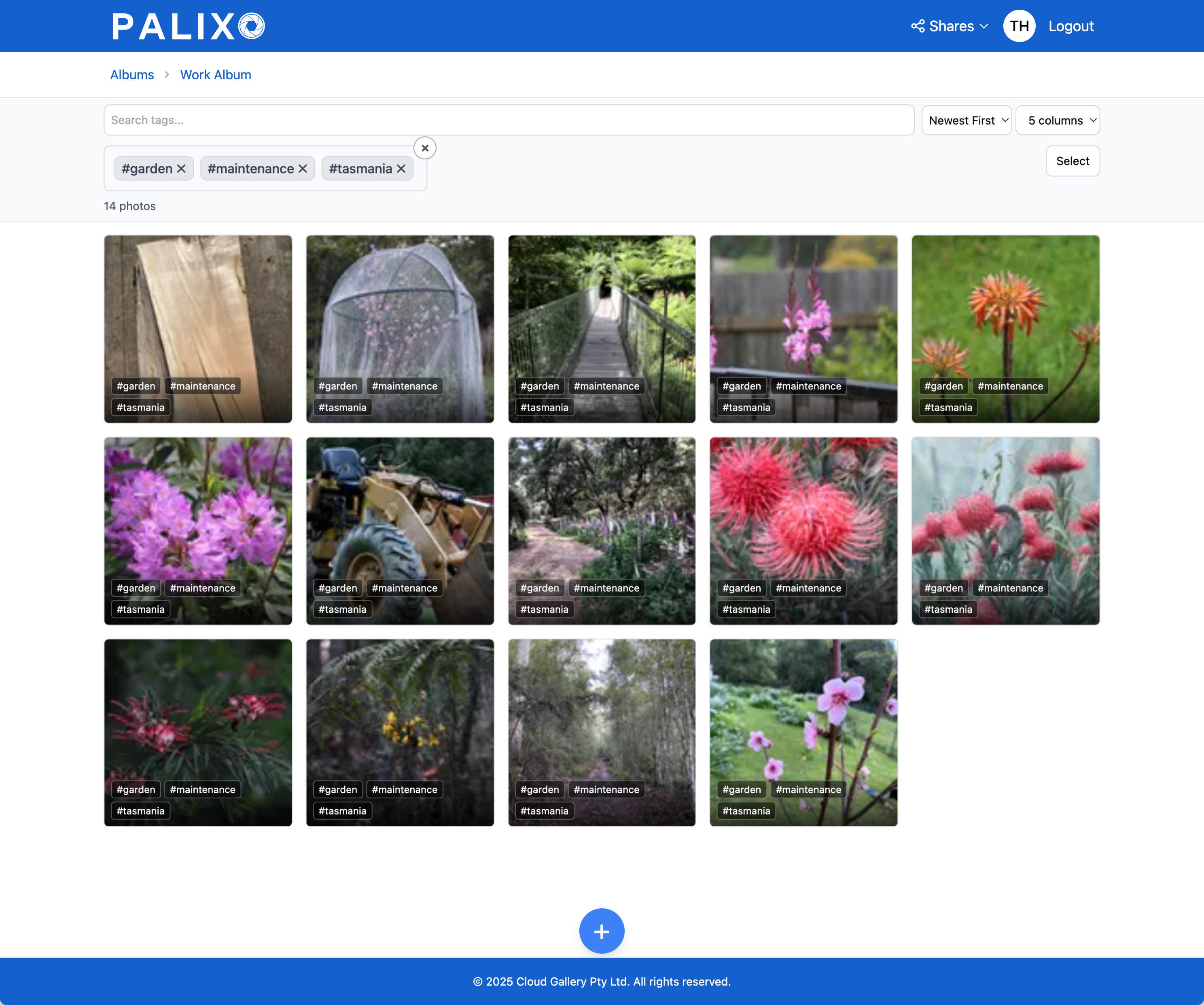 Album view with multiple tag filters active