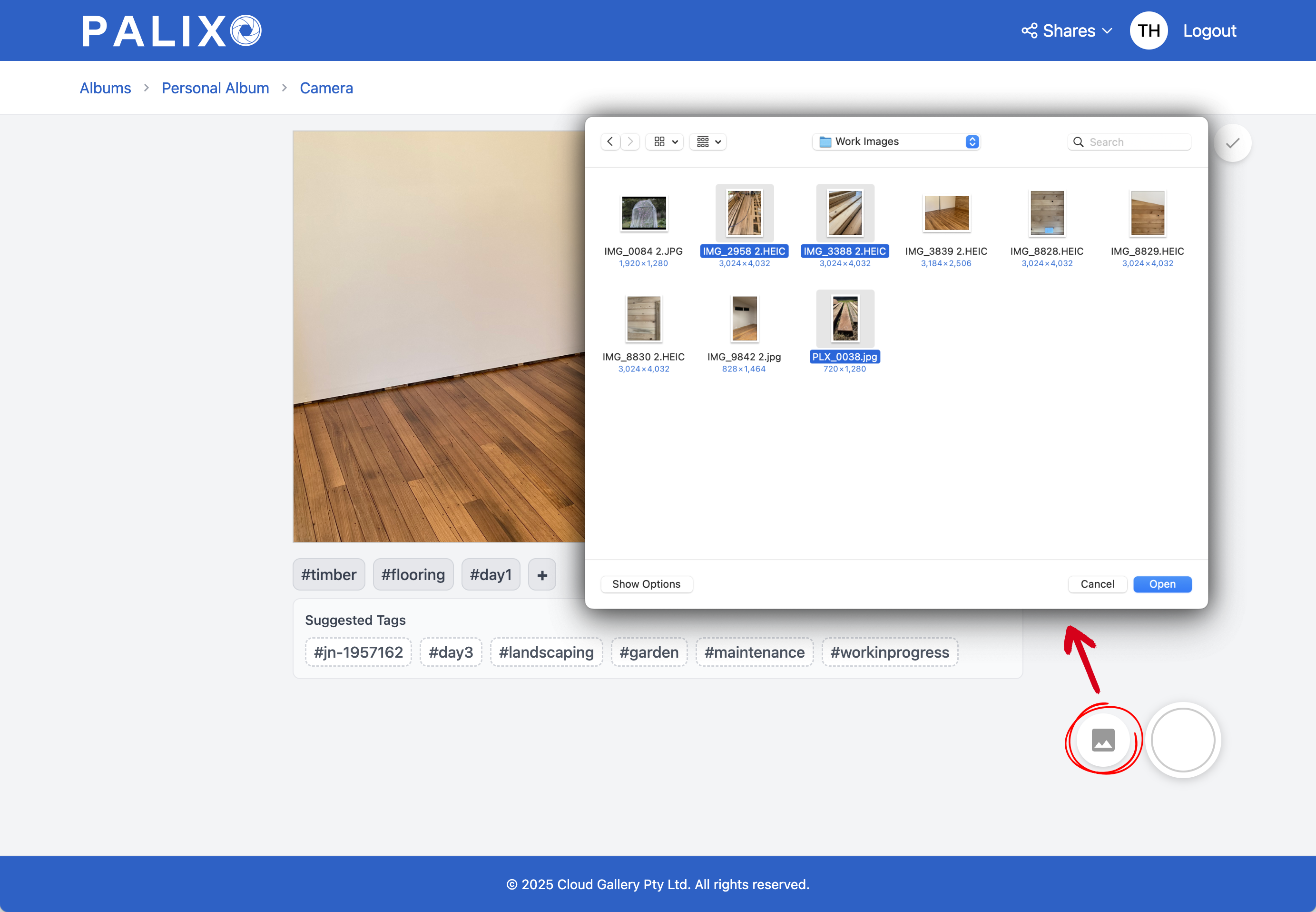 Upload button and file selection dialog